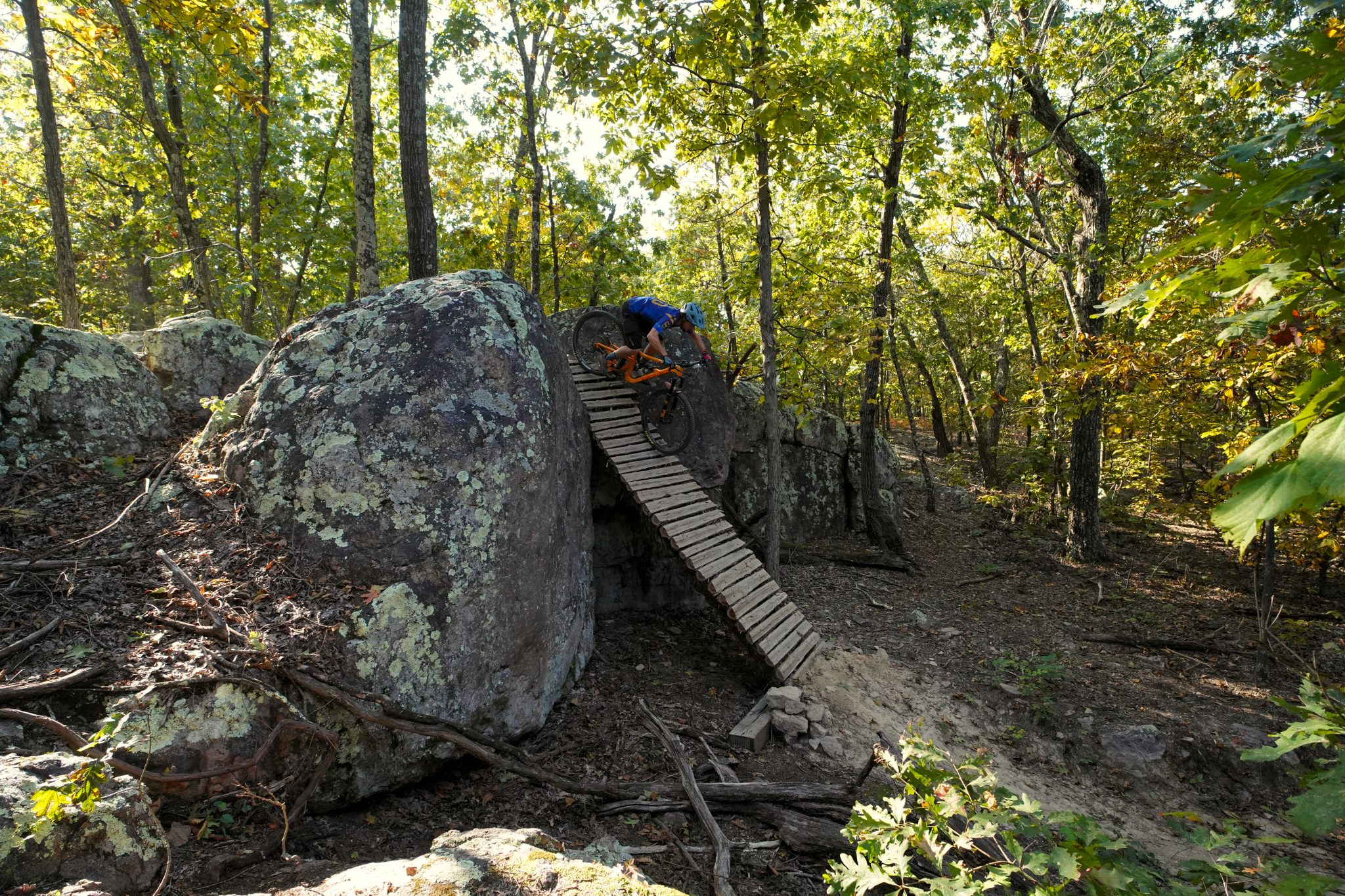 Shepherd MTB Park in Missouri Brings New Gravity Trails to the Midwest