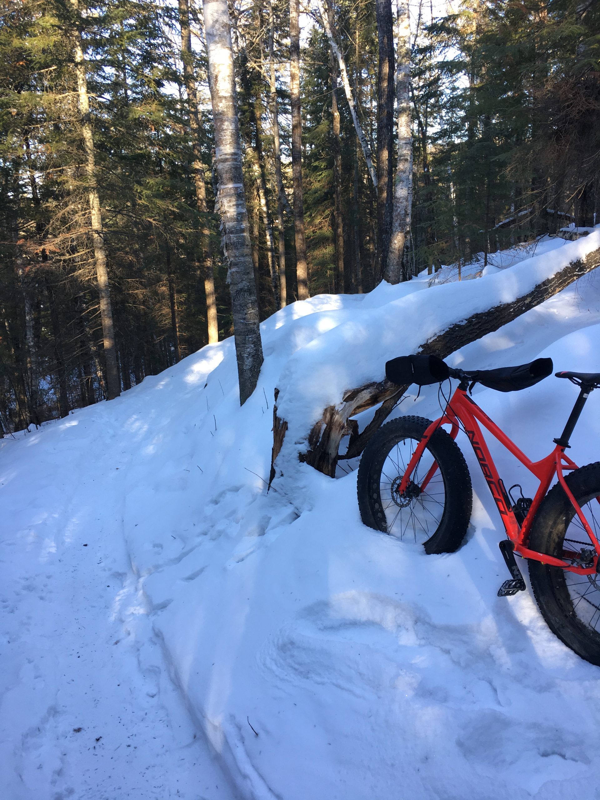 A bright orange fat bike rests against a snow-covered log on a snowy trail surrounded by tall trees. The scene captures a peaceful winter landscape with sunlight filtering through the branches, illuminating the fresh snow. Pine Valley mountain bike trail.