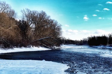 A serene winter scene depicting a river with a partially frozen surface, surrounded by snow-covered banks and leafless trees against a clear blue sky. The peaceful landscape captures the essence of a cold, crisp day in nature. Guelph Lake mountain bike trail.