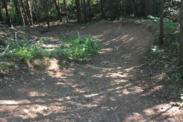 A dirt biking trail winding through a forest, surrounded by tall trees and patches of sunlight. The trail is slightly curved with visible tire tracks and scattered pebbles on the ground, indicating it is well-used by bikers. Lush green foliage is present on either side of the path. Pine Valley mountain bike trail.