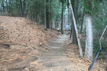 A winding trail through a wooded area, lined with tall trees and scattered pine needles. In the background, a person is standing near a fallen log, observing the surroundings. The path is clear and well-defined, leading deeper into the forest. Pine Valley mountain bike trail.