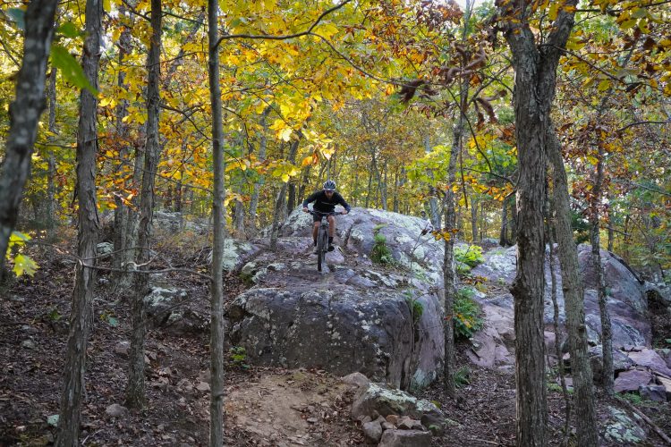 A mountain biker skillfully navigating over a large rock formation on a dirt trail, surrounded by trees with vibrant autumn leaves in shades of yellow and orange.
