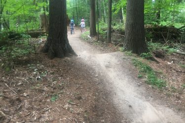 Two children riding bicycles along a dirt path in a lush green forest. Tall trees flank the trail, creating a serene and natural environment. The scene captures the joy of outdoor exploration. Pine Valley mountain bike trail.