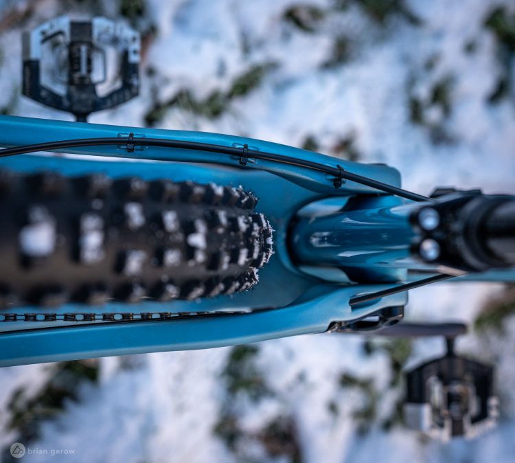 Belly Laughs in the Mud on Onza Porcupine RC MTB Tires [Review