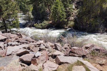 A rocky riverbank with large boulders in the foreground, leading to a flowing river surrounded by lush greenery and trees. The water appears to be rushing swiftly, with white foamy crests visible. Bright sunlight enhances the vibrant colors of the rocks and foliage. Walker Ranch mountain bike trail.
