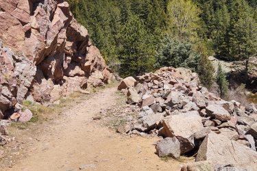 A dirt hiking path surrounded by rocky terrain and forested hills under a clear blue sky. The trail is flanked by large boulders and scattered rocks, indicating the rugged nature of the landscape. Vibrant green trees fill the background, highlighting the natural beauty of the area. Walker Ranch mountain bike trail.