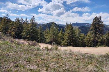 A scenic view of a mountainous landscape featuring a dirt road winding through lush green trees, with distant snow-capped peaks under a blue sky filled with white clouds. Walker Ranch mountain bike trail.