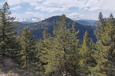 Scenic view of a mountainous landscape featuring green coniferous trees in the foreground, rolling hills in the midground, and snow-capped peaks in the background under a partly cloudy sky. Walker Ranch mountain bike trail.