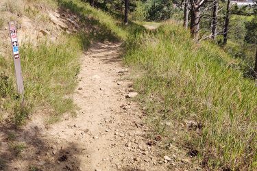 A dirt hiking trail winding through a grassy area with scattered rocks, bordered by trees. A trail marker is visible on the left side, indicating the trail number and symbols. The scene is bright and sunny, capturing a serene natural environment. HLMP mountain bike trail.