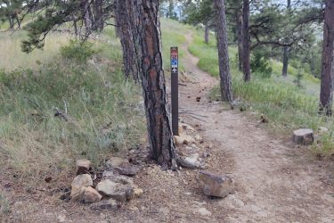 A winding dirt trail leads through a forested area, flanked by tall pine trees. Alongside the path, a trail marker post is visible, indicating the route number. The ground is covered in grass and scattered stones, creating a natural outdoor environment. HLMP mountain bike trail.