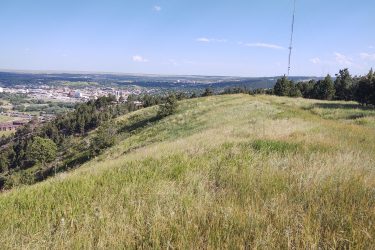 A panoramic view from a hillside overlooking a city, with lush green grass in the foreground, scattered trees, and a communication tower in the distance under a clear blue sky. HLMP mountain bike trail.