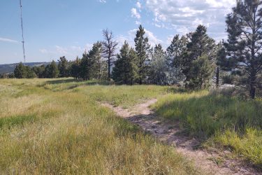 A scenic view of a grassy trail leading through a landscape of tall trees and bushes, with a clear blue sky and scattered clouds. In the background, a tall radio tower can be seen rising above the treetops. HLMP mountain bike trail.
