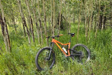 A bright orange mountain bike resting in tall grass among slender aspen trees in a lush green forest. Lion Gulch mountain bike trail.