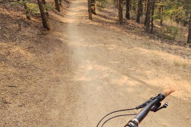 A mountain biking perspective from the handlebars of an orange bike, showing a winding dirt trail surrounded by tall pine trees in a forest setting. Captain Jack's mountain bike trail.