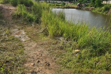 A scenic view from the perspective of a mountain bike, showing a dirt trail leading toward a calm body of water surrounded by tall grass. In the background, residential buildings and power lines are visible under a mostly cloudy sky. Bukit batu trail park mountain bike trail.
