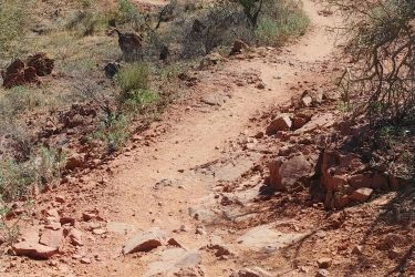 A winding dirt trail leading through a desert landscape, surrounded by sparse vegetation and rocky terrain under a clear blue sky. Hawes Loop mountain bike trail.