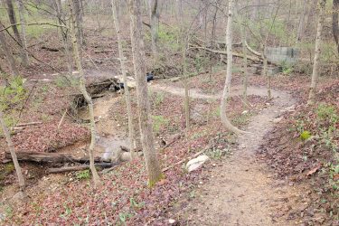 A winding dirt path surrounded by trees and fallen leaves, leading through a wooded area with a small creek visible on the left side. The scene has a tranquil, natural feel, with signs of early spring growth. Buffalo Lake mountain bike trail.