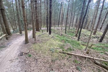 A winding dirt path through a dense forest with tall trees, scattered fallen branches, and green moss on the ground. The atmosphere is calm and natural, with a slight incline in the trail leading deeper into the woods. Appelscha Rood-Blauw-Rood mountain bike trail.