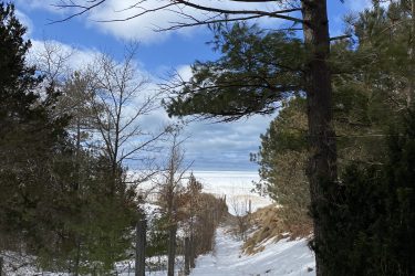 A snowy pathway lined with trees, leading towards a clear blue sky and open landscape, with patches of snow covering the ground. The trail is surrounded by a wooden fence and fading vegetation, suggesting a serene, winter scene. Pinery Provincial Park mountain bike trail.