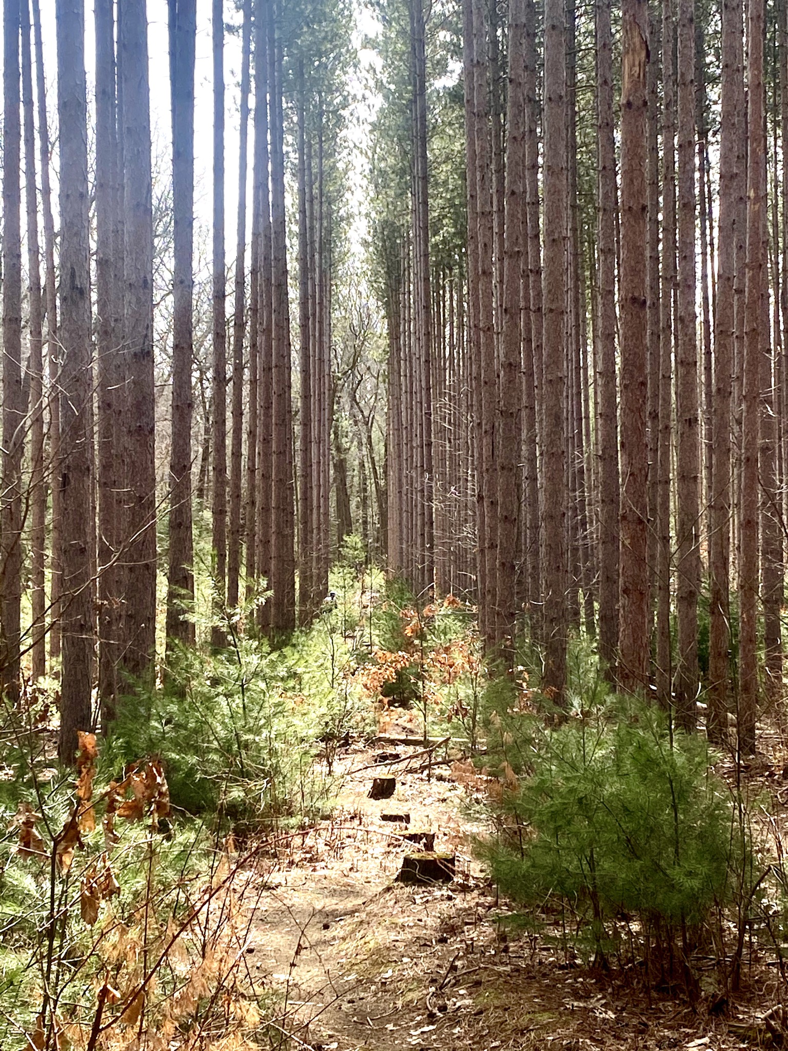 Turkey Point Mtb Turkey Point Provincial Park Mountain Bike Trail in Turkey Point ...