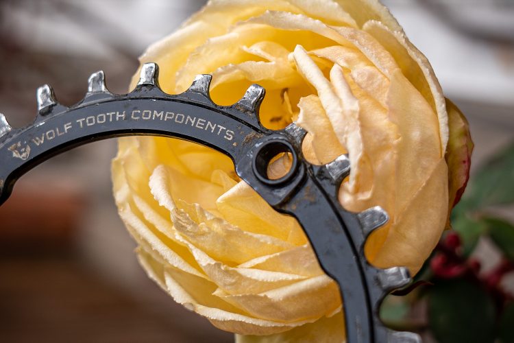 A close-up image featuring a black bicycle chainring with the text "WOLF TOOTH COMPONENTS" partially visible, positioned in front of a soft, yellow rose bloom. The flower's delicate petals create a contrasting backdrop to the metallic component.