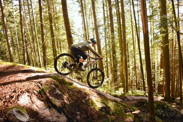 A mountain biker navigating a rocky trail in a dense forest, surrounded by tall trees and sunlight filtering through the foliage.