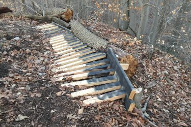 A wooden structure resembling a ramp or barrier made from planks, positioned on a hillside covered with fallen leaves and twigs. A large fallen log lies nearby, indicating the area is a forested environment. Swance Drain mountain bike trail.