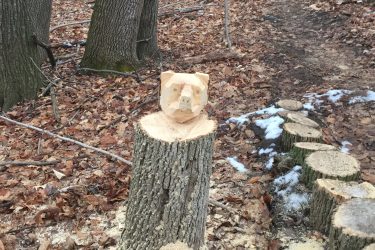 A wooden bear sculpture sits atop a freshly cut tree stump in a wooded area, surrounded by fallen leaves and sawdust. The forest background features tall trees with a narrow path visible, indicating a natural setting. Swance Drain mountain bike trail.