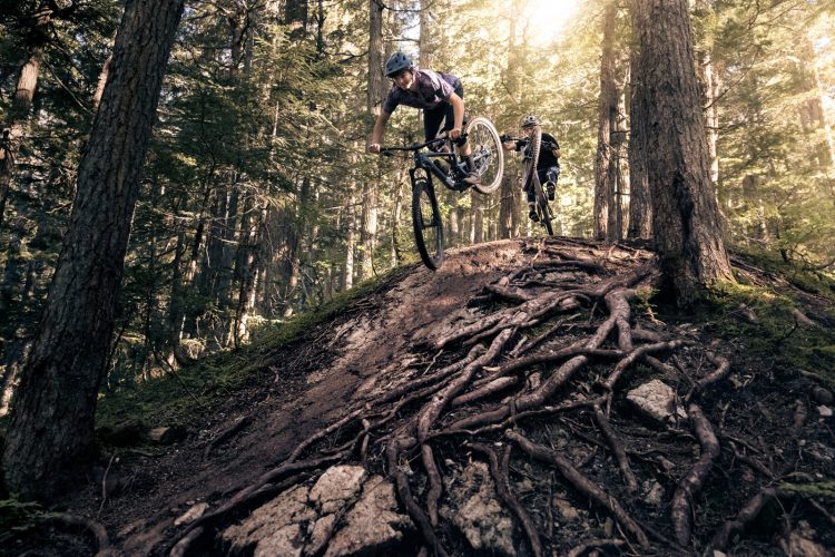 Two mountain bikers performing jumps on a dirt trail surrounded by trees. The sunlight filters through the forest, illuminating the path lined with tree roots and rocks, creating a dynamic outdoor scene filled with action and adventure.