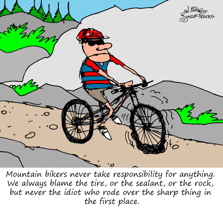MTB Rule 1 Always Blame the Bike, Never the Rider [Cartoon
