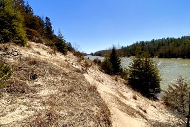 A sandy pathway bordered by sparse vegetation leads to a river, set against a clear blue sky. Trees are visible on both sides, creating a natural landscape typical of a serene outdoor setting. Pinery Provincial Park mountain bike trail.