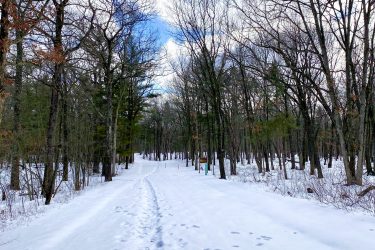 A snow-covered path winding through a forest, flanked by bare trees. Footprints are visible in the snow, leading into the distance under a partly cloudy sky. Pinery Provincial Park mountain bike trail.