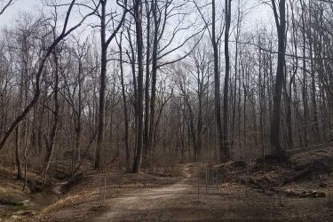 A dirt path leading through a wooded area in early spring, with bare trees and a small stream crossing the path. A wooden bridge spans the stream, providing access to the trail. Signs indicate trail direction. The scene is mostly bare, with remnants of leaves and underbrush visible on the ground. Rosaryville State Park mountain bike trail.