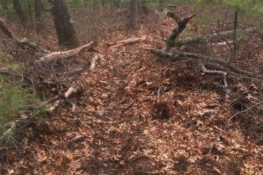 A narrow dirt path through a wooded area, surrounded by trees and scattered fallen branches. The ground is covered with a layer of dry leaves, indicating a natural forest environment. Mill Pond Conservation Area mountain bike trail.