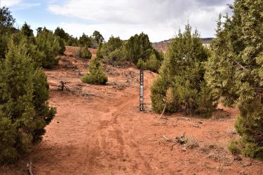A dirt trail winding through a landscape of juniper trees and reddish-brown soil, with a trail marker labeled "JAZZ" visible on the right side of the image. The scene is set under a partially cloudy sky. Red Fleet Downhill Flow Trail mountain bike trail.