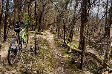 A mountain bike is resting beside a narrow dirt trail surrounded by trees with bare branches. The path winds through a forested area, with small green plants emerging from the ground. A fallen tree trunk lies on the right side of the image, adding to the natural scenery. The sky is partially visible through the treetops, indicating a clear day. Western University trails mountain bike trail.