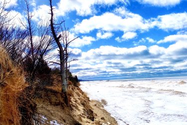 A coastal scene featuring a sandy shoreline with rough waves, framed by a dramatic blue sky filled with clouds. The landscape includes bare trees and eroded cliffs, showcasing a blend of natural textures and colors. Pinery Provincial Park mountain bike trail.