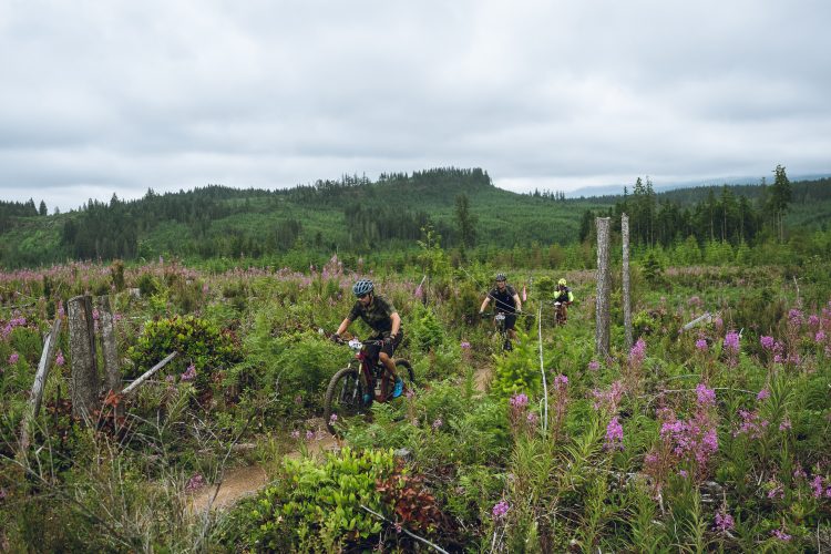 Three mountain bikers riding through a vibrant field of purple wildflowers, accompanied by lush greenery and rolling hills in the background under a cloudy sky.