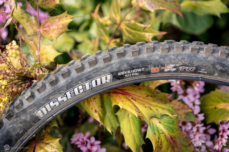 A close-up view of a mountain bike tire labeled "DISSECTOR," partially covered with dirt. The tire dimensions are visible: 29"x2.40 WT, 50 PSI, with branding details indicating different grip features. In the background, colorful autumn leaves and small pink flowers provide a natural setting.