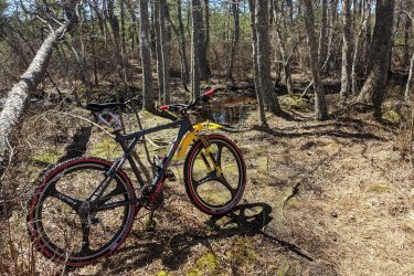 A mountain bike parked on a dirt trail surrounded by trees and brush, with patches of sunlight illuminating the scene. The bike has a gray and yellow frame with distinctive tires, and there is a small water body visible in the background. Jakes Branch County Park Blue Trail mountain bike trail.