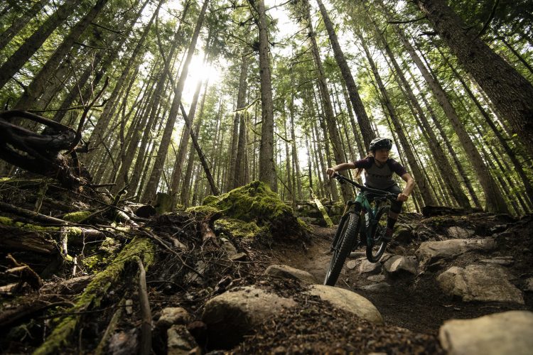 A mountain biker navigating a rocky trail in a dense forest, surrounded by tall trees and dappled sunlight filtering through the canopy. The biker is focused on the path ahead, showcasing outdoor adventure and skill in an enchanting natural setting.