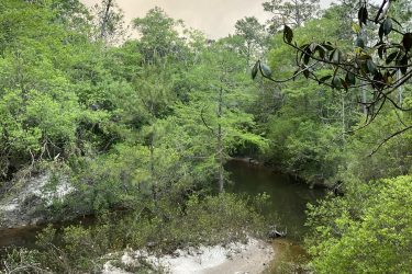 A serene landscape featuring a winding waterway surrounded by lush greenery, including trees and shrubs. The sky above is slightly overcast, creating a calm, muted atmosphere in this natural setting. Bethel Bike Trails mountain bike trail.