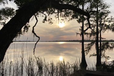 A serene lake view at sunset, framed by overhanging branches and tall grasses. The sky is painted in soft pastel hues, reflecting on the calm water, while Spanish moss hangs from trees, creating a tranquil atmosphere. Blakeley State Park mountain bike trail.