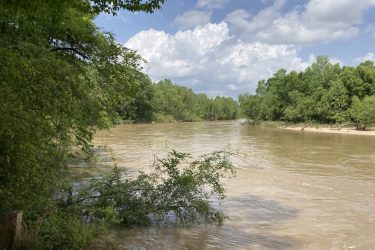 A tranquil river scene surrounded by lush green trees under a partly cloudy sky. The water appears muddy, reflecting the greenery along the riverbank. Bogue Chitto State Park mountain bike trail.