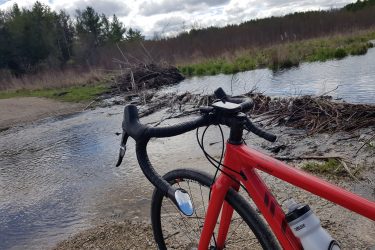 A close-up view of a red bicycle parked near a shallow stream, with a backdrop of tall grasses and trees. The bike’s handlebars and front tire are in focus, while the water and natural surroundings create a serene outdoor scene. Fluffy clouds can be seen in the blue sky above. Luther Marsh mountain bike trail.