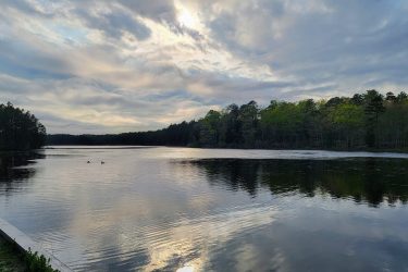 A tranquil lake scene surrounded by lush greenery and trees, with a cloudy sky above. The water reflects the clouds and trees, while two ducks swim peacefully in the foreground. The image captures a serene moment in nature, ideal for relaxation. Wells Mills County Park mountain bike trail.