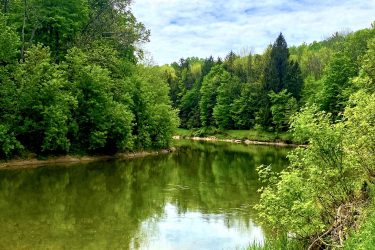 A serene landscape featuring a tranquil river surrounded by lush green trees and grasses under a partly cloudy sky. The water reflects the surrounding greenery, creating a peaceful natural scene. Brant Tract mountain bike trail.