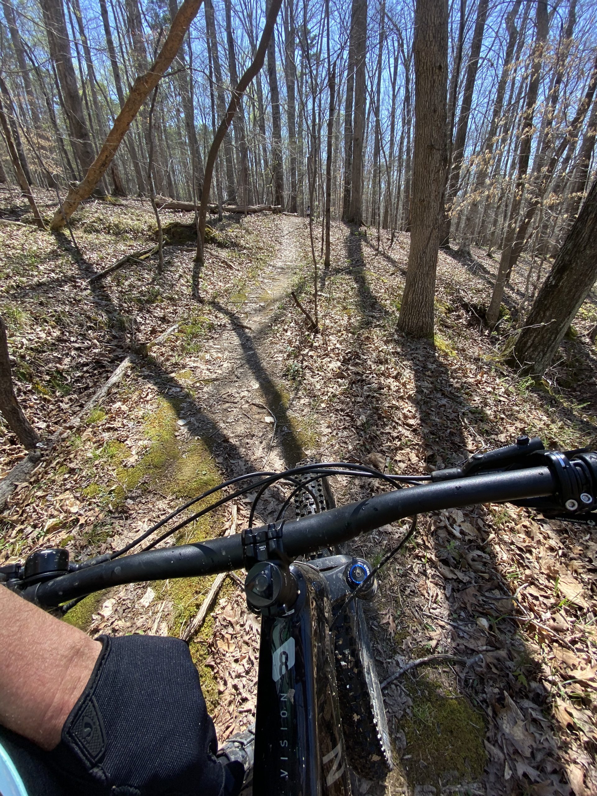 Alt text: A close-up view of a mountain bike handlebar and the rider