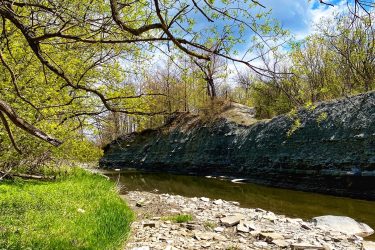 A serene riverside scene featuring a rocky shoreline lined with green grass and young foliage. Trees with budding leaves provide a natural canopy above, while calm waters reflect the blue sky and fluffy clouds in the background. The landscape suggests a peaceful, springtime atmosphere in a natural setting. Etobicoke Creek mountain bike trail.