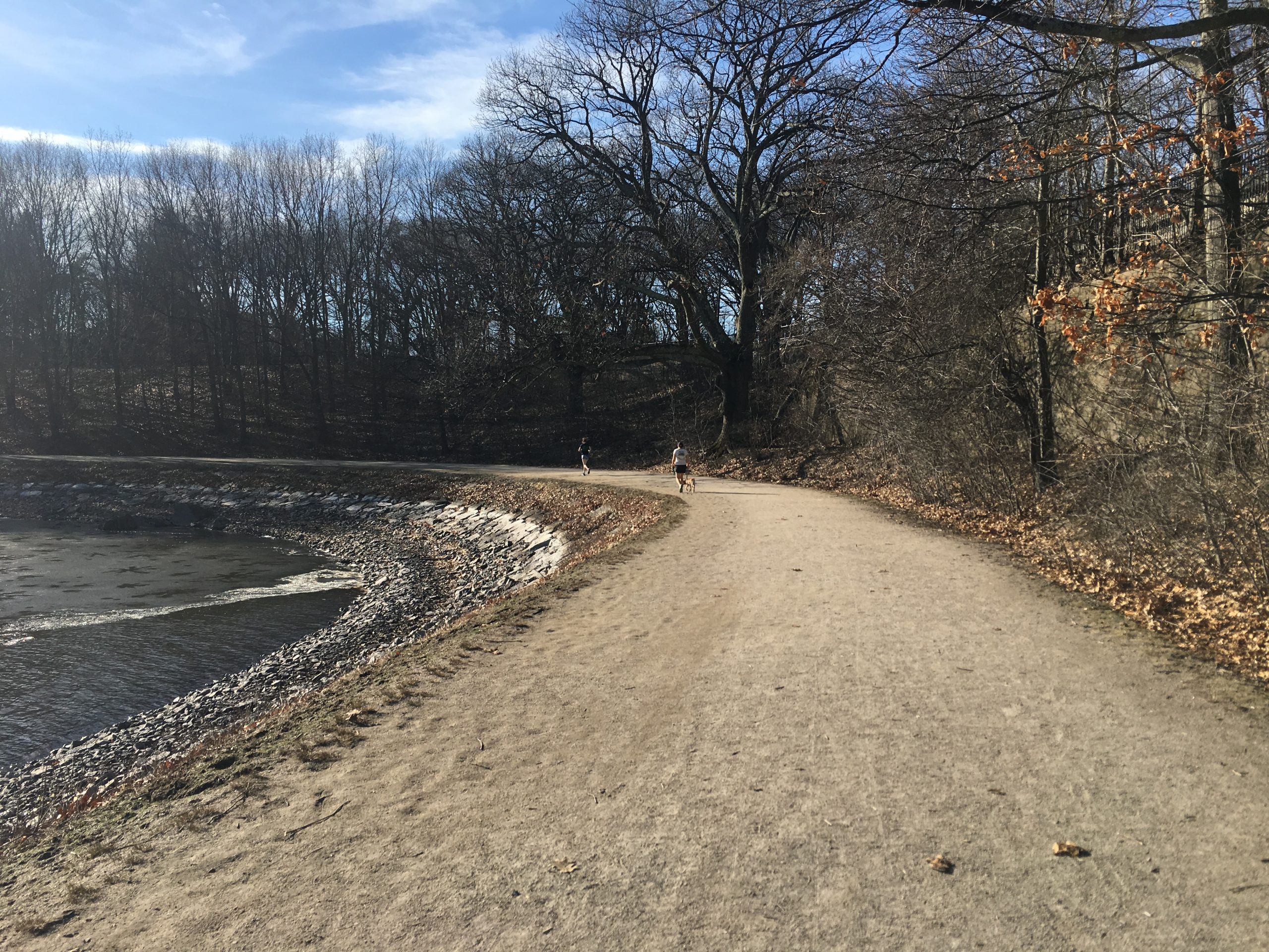 A winding dirt path beside a calm body of water, flanked by trees with bare branches. Two figures are seen walking along the path, one accompanied by a dog. The sky is clear with a few clouds, indicating a bright day. Chestnut Hill Reservoir Loop mountain bike trail.